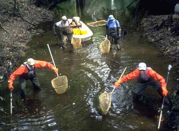 Photograph of Hydrologists taking water quality samples.