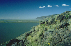 Warner Wetlands