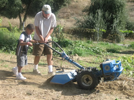 gardening