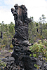 3m high lava tree cast