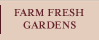 Farm Fresh Gardens