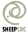 Sheep CRC