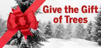 Give the gift of trees!