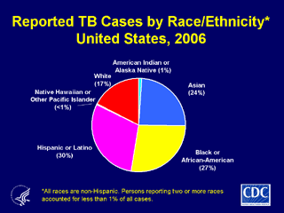 Slide 9: Reported TB Cases by Race/Ethnicity, United States, 2006. Click here for larger image