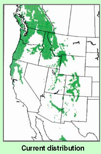 Map of the current distribution of Douglas Fir in the Western U.S.