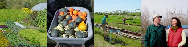 collage of WSU Organic Farm Photos