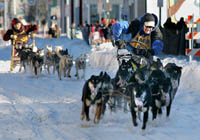 Dog sled race at Fur Rendezvous in Anchorage, Alaska