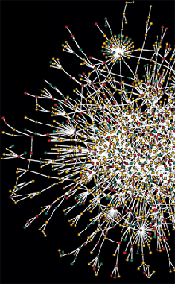 This network diagram shows all of a yeast cell's protein-protein interactions, which mirror many of those in humans. <em>Courtesy of Albert-Laszlo Barabasi, University of Notre Dame, and Hawoong Jeong, Korea Advanced Institute of Science and Technology.