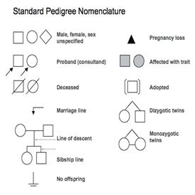 Standard pedigree nomenclature; diagram shows common symbols used to draw a pedigree.