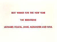 Happy New Year from the Bernsteins