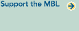Support the MBL