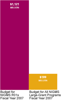 Bar graph showing Budget for NIGMS R01s Fiscal Year 2007 as $1,121 Million and the Budget for All NIGMS Large-Grant Programs Fiscal Year 2007 as $189 Million.