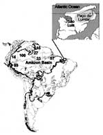 Figure 1. Human cases of acute human Trypanosoma cruzi infections in the Amazon Basin (19-28). French Guiana, 15; Colombia, 100; Ecuador, 14; Peru, 85; and Brazilian States: Amapá, 27; Acre, 7; Amazonas, 33; Pará, 57; and Maranhão, 50 cases. Insert shows Paço do Lumiar county in the island São Luis, State of Maranhão, an ecoregion vulnerable to human predation, where acute T. cruzi infections have been identified.