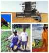 collage of agricultural field photos