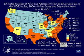 Slide 14: Estimated Number of Adult and Adolescent Injection Drug Users Living with AIDS, by Sex, 2006—United States and Dependent Areas

In 2006, an estimated 66,825 male and 32,617 female adult and adolescent injection drug users in the United States and dependent areas were living with AIDS. New York was the state with the greatest number of injection drug users living with AIDS: 24,542 (16,488 males and 8,053 females).  Burdens are exceptionally heavy in jurisdictions such as Washington, D.C., and Puerto Rico; D.C. ranks thirteenth by number of injection drug users living with AIDS but only fifty-first by number of residents (data not shown), and Puerto Rico ranks eighth by number of injection drug users living with AIDS  but only twenty-seventh by number of residents (data not shown).  The state with the fewest injection drug users living with AIDS was North Dakota.