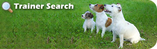 dog trainer search for dog training