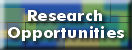 Research Opportunities