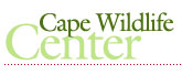 hsus cape wildlife center