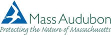 mass aud logo