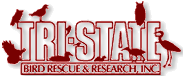 tristate logo