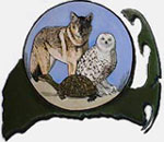 wild care logo