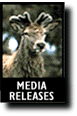 Media Releases