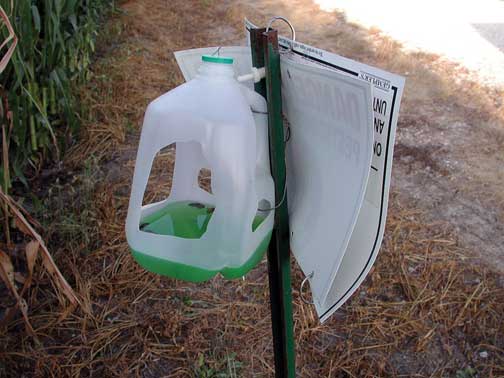 Western bean cutworm pheromone trap