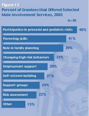 Figure 13 Percent of Grantees that Offered Selected Male Involvement Services, 2003