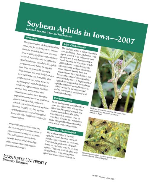 Soybean Aphids in Iowa -- 2007 (SP 247)