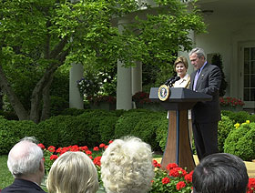 The Bushes, in the Rose Garden.