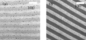 IRG 3: Soft Cellular Materials