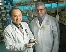 Dr. Zheng Cui and Dr. Mark Willingham