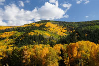 Fall color on CO Hwy 145 near Bear Creek Trailhead in the San Juan National Forest.  The photo was taken by Eric La Price on 09/29/2008.
