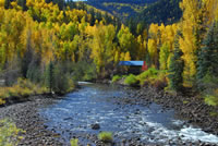 Fall color near the Bear Creek Trailhead in the San Juan National Forest.  Photo taken by Richard Roberts on 10/08/2008.