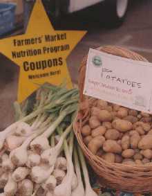 Farmer Guy Clarks' potatoes and garlic