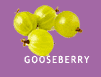 Gooseberry production