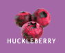 Huckleberry production