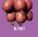 Kiwifruit production