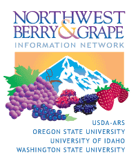 Northwest Berry & Grape Information Network, Oregon State University | University of Idaho | Washington State University | USDA-ARS