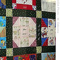 Each of the 12 squares on the quilt represents a month and shows the number of babies born at Blanchfield during that month