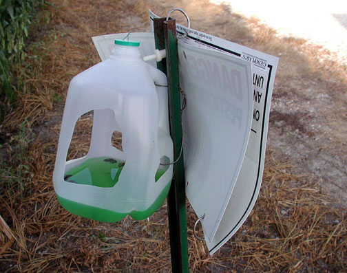 Western bean cutworm trap