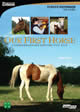 Image: Our First Horse: Considerations Before You Buy