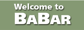 Welcome to BaBar