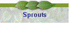 Sprouts