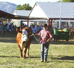 Siskiyou-County-Fair