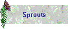 Sprouts