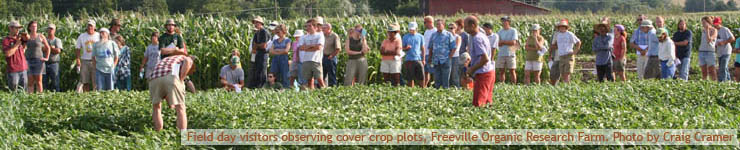 Field day visitors observing cover crop plots, Freeville Organic Research Farm :: Photo by Craig Cramer