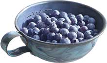 Wild Blueberries - A Versatile Fruit for Nutritional Health