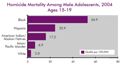 Homicide Mortality Among Male Adolescents Ages 15-19 in 2005