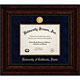 View Executive Diploma Frame